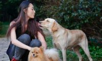 俗语“喂狗别喂饱”，其实下半句更发人深思，都是先人的逆耳忠告