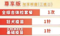 年轻人给宠物买保险:猫猫狗狗看病比人贵
