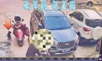 小偷宠物狗监控中频“出镜” 助警方破获系列盗窃电瓶车案