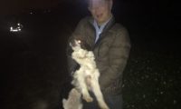 牧羊犬深夜离家出走 值班警察跳下田带它回家