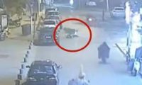 事发淮安!拉布拉多犬撞断摩托车手四根肋骨…