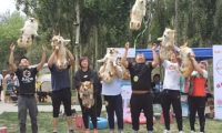 主人家怀着自己柯基合照，在其中许多人将狗丢到半空，柯基变直升机？