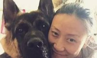 等待屠宰的大狼狗 被她从死亡边缘给救了回来