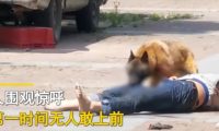 晚上遛弯男子街边逗狗 恶狗突然发疯男子被“咬惨”