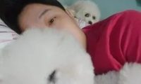 比熊犬看到主人抱别狗睡觉,秒变怨念背后灵:你最好别睡太死
