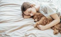 你睡着后，“泰迪犬”这样做，说明没养错狗
