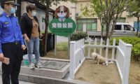 文明养犬有新招,湖州长兴“宠物公厕”上线啦
