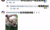 妹子想帮走失的狗狗寻找主人,网友让她拍个狗狗正脸照,结果……