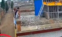 河北廊坊：偷狗贼开车白天套狗，村民怒砸砖块？