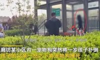 幼子被狗扑倒父亲当众将狗摔死,是护子心切还是行为过激?