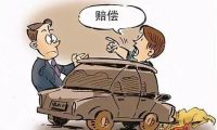 遛狗不拴绳，昆明一宠物狗被撞进汽车保险杠！派出所：狗主人全责并修车