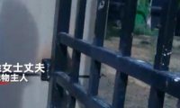 寻狗送北京房产?打印店印错,能成为不兑现的借口?
