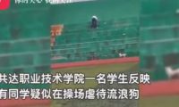 安徽职院内男子虐狗后高空抛狗致死，校方回应：系外来人员