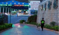 云南保山:警犬“鹰空”获评功勋犬