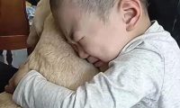 宠物狗丢失48小时，找回来后，宝宝的动作，让父母看哭了