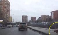 街头发生的感人一幕 竟是为了只流浪小狗
