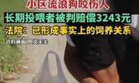 陕西流浪狗咬伤居民，长期投喂者被判赔偿3000元，网友：善没善报