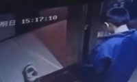 男孩利用电梯吊死宠物狗,引起众怒,家长却责怪物业曝光视频