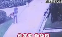 男子遛狗不拴绳致狗被咬,称自己是警察,威胁对方小心点