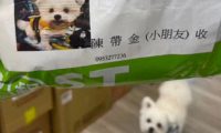 快递员送包裹遇到没见过的名字，狗子听到立马跑出来
