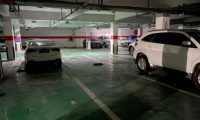 判了!宠物犬昆明某小区地下停车场被撞死,主人索赔6505元被拒………