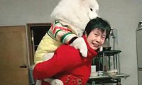 狗狗送去给奶奶调教,接它回来时发现送错地方