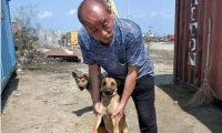 狗妈妈用身体挡住吊车,对工作人员狂叫,原来下面是它的孩子