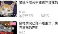 爱心网红靠流浪狗得百万打赏，猫德学院濒临破产，宠物经济真奇怪