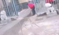 二只萨摩耶被作为石狮子，在正门口的两侧执勤，狗：出去做个做兼职