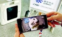宠物猫狗可以坐高铁了！大连到北京宠物走一趟“车票”360元