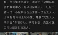 漳州一小区物业勾结狗贩子抓狗送狗肉馆？流浪狗变成了谁的敛财工具！