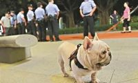 狗狗被养犬管理办公室带走 交警泪汪汪