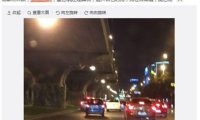 瘸腿小狗“被遗弃”引热议 当事人出面发言