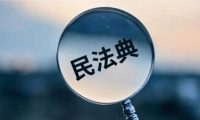 宠物狗咬人，狗主人要承担什么责任？民法典有新规