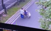 老人被未拴绳宠物狗绊倒受伤，不文明养犬行为再次引发网友热议