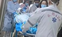 探访女童被大型犬撕咬事件,涉事黑狗已找到,小区保安袖手旁观