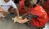 海门区三星镇：文明养犬“别掉链” “宠”爱有佳“她”行动