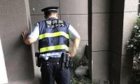 狗狗从高楼掉落,养狗狗要注意这几个问题