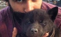 男子在路边捡到流浪黑狗,收养4个月发现竟是黑熊