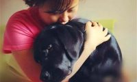 导盲犬珍妮的退休生活