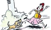 遛狗没有拴绳老人被宠物狗吓住院狗主人买单