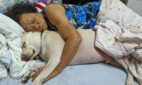 4岁狗成“助眠神器”,阿婆常抱着取暖睡觉,满脸幸福