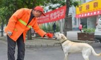 环卫大爷无意救下幼犬,路人主动提出收养后,大爷恳请善待狗狗!