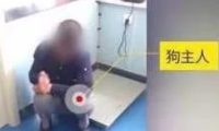 因吃两个饺子 狗狗被主人数刀砍死遗弃路边:不爱也不要去伤害它