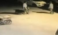 济南一男子饲养8年的爱犬被狗贩偷走 在宠物市场失而复得