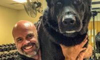 警犬追犯人从6米高跳下,受伤还努力完成任务,帅得不行!