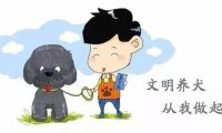狗狗虽可爱,饲养需文明——“文明养犬”倡议书
