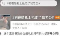 “狗在婚礼上抢走了我老公”，网友婚礼现场发生意外，笑翻了