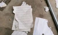 作业被小狗撕了，小学生崩溃大哭，妈妈告诉老师，老师的做法亮了