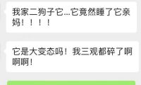 救命呀!我家狗子是大禽兽!它…它竟然睡了它亲妈……
